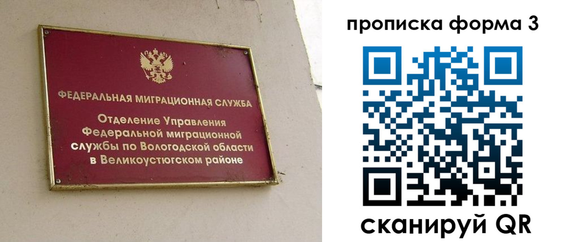 прописка в Курске