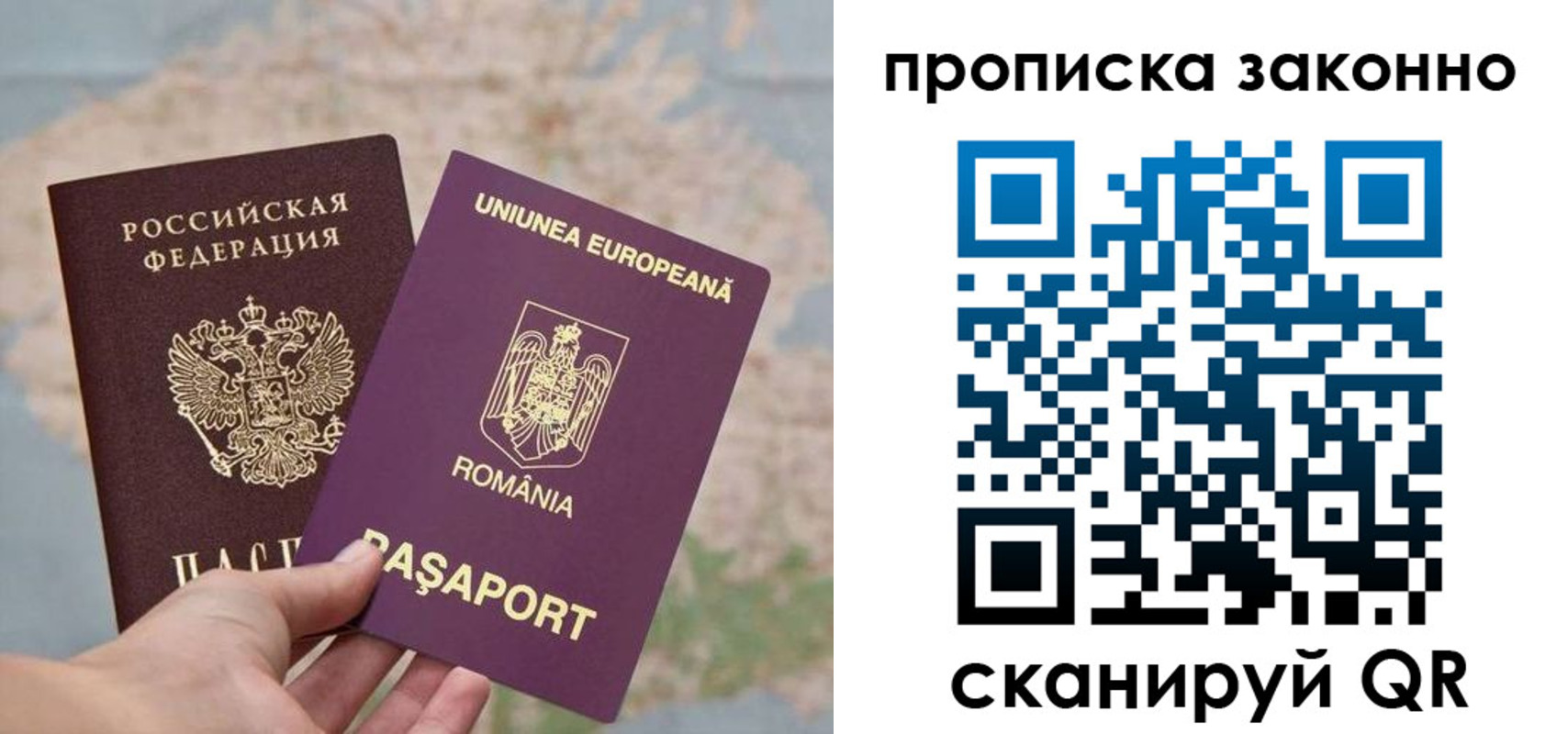 прописка гарантия в Курске