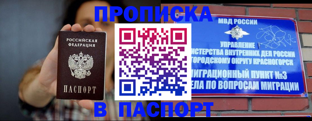 прописка в квартире в Курске
